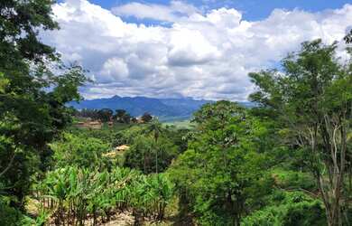 Imagem: O terreno possui 1.300m² de Área e está localizado em MG