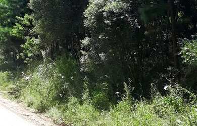 Imagem 2: Sítio em Igrejinha RS. 5.000m² de Área