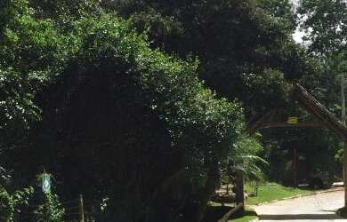 Imagem 10: Lote em Santa Luzia condomínio fechado Vale Do Tamanduá