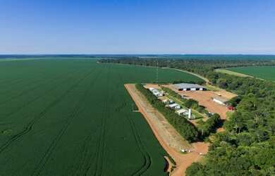 Imagem: A fazenda está localizado em Capela Velha, Araucária à venda