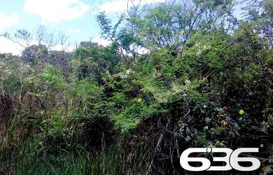 Imagem: O terreno possui 360m² de Área e está localizado em Balneário