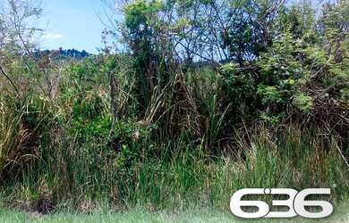 Imagem 2: Terreno Balneário Barra do Sul Pinheiros