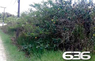 Imagem 10: Terreno Balneário Barra do Sul Pinheiros