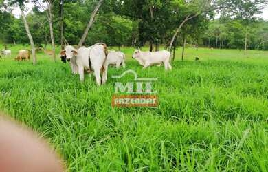 Imagem: A fazenda está localizado em Crixás, GO à venda por R$5.500.000