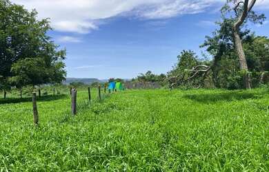 Imagem: A fazenda possui 306m² de Área e está localizado em Brasilândia