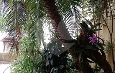 Imagem 12: Sobrado Planalto Paulista