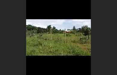 Imagem 1: Chácara barata. 5.000m² de Área