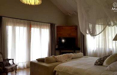 Imagem 16: Viva na Paz com a Natureza