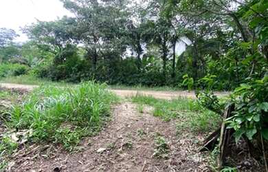 Imagem: A fazenda possui 2.000m² de Área e está localizado em Área