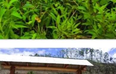 Imagem 13: Sítio entre 2.000m2 e 6.700m2, Domingos martins, Montanhas Capixabas,...