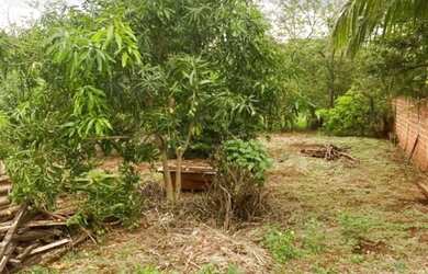 Imagem 3: RESIDENCIA COM AMPLO TERRENO, PRÓPRIO PARA CHACARA DE LAZER