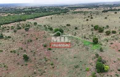 Imagem 14: Fazenda 57,3 alqueires 277,33 hectares São Miguel do Araguaia - Go