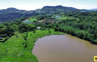 Imagem 15: Sítio / Chácara para Venda em Linha Nova, Linha Nova