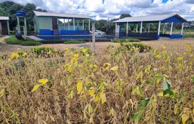 Imagem 11: Sitio 18 ectares valor 800.000