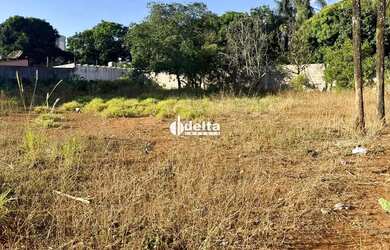 Imagem 12: Área disponível para venda no bairro Chácaras Tubalina E Quartel em...