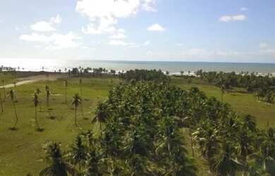 Imagem 6: Lote à venda no Condomínio Sunset Beach Residence com 200m² - Barra...