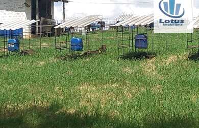 Imagem 6: Fazenda à venda, 6500000 m² por R$ 35.000.000,00 - Zona Rural - Minduri/MG