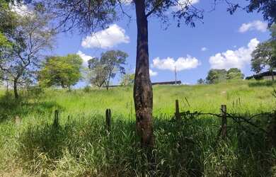 Imagem 8: Fazenda Fazendinha 19 Hectares, 16 Hectares. FLORESTA MG