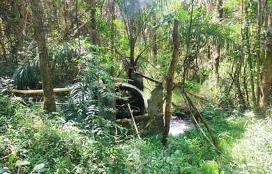 Imagem 9: Fazenda Fazendinha 19 Hectares, 16 Hectares. FLORESTA MG