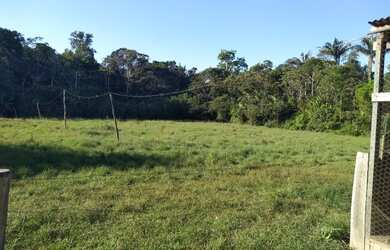 Imagem 9: Chácara com igarapé. 32.000m² de Área