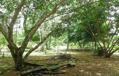 Imagem: O terreno possui 100m² de Área e está localizado em Bengui