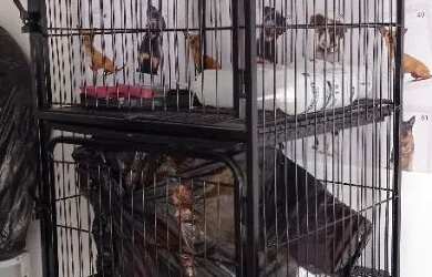 Imagem 8: Pet shop. Ar-condicionado