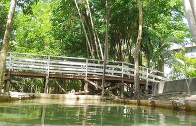 Imagem 5: SAFIRA PARK. Piscina, Churrasqueira, 56m² de Áreae1 Vaga na garagem