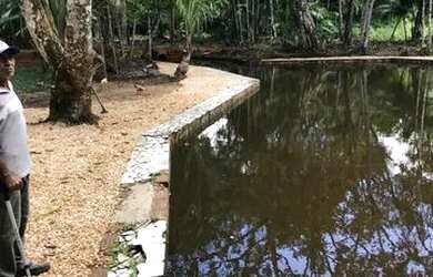 Imagem: O terreno está localizado em Coqueiro, Ananindeua à venda