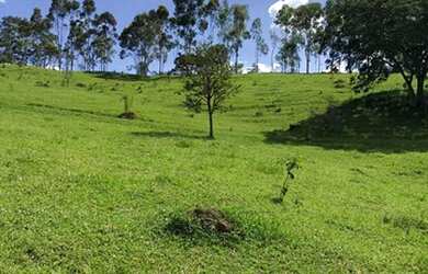 Imagem 2: Fazenda 19 Alqueires Zona Rural - Abadiânia - GO