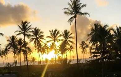 Imagem: A casa possui 5 Dormitórios, 3 Vagas na garagem e está localizado