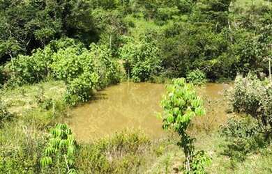 Imagem 10: Fazenda 19 Alqueires Zona Rural - Abadiânia - GO