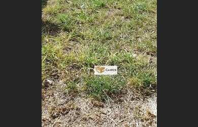 Imagem 4: Terreno à venda, 300 m² por R$ 285.000,00 - Condomínio Aurora - Paulínia/SP