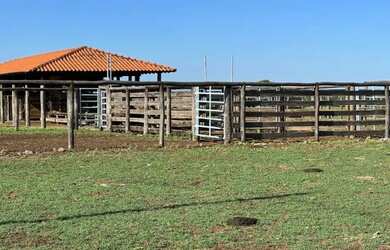 Imagem 12: Fazenda com 1.433 Hectares - IACIARA - GO -R$. 42 Milhões