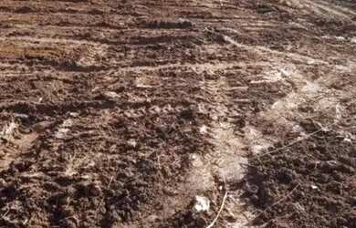 Imagem 7: CASA TÉRREA - JARDIM SÃO FELIPE - SP