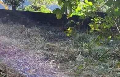 Imagem 4: AREA - CITY AMÉRICA - SP