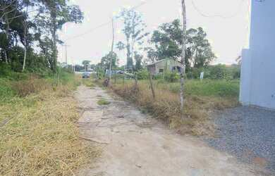 Imagem 5: Terreno no Eliana. 360m² de Área