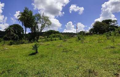 Imagem 14: Fazenda Fazendinha 19 Hectares, 16 Hectares. FLORESTA MG