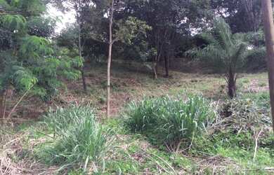 Imagem 7: Lote em Santa Luzia condomínio fechado Vale Do Tamanduá