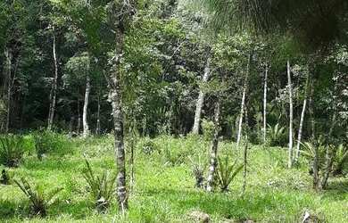 Imagem 10: Sítio em Igrejinha RS. 5.000m² de Área