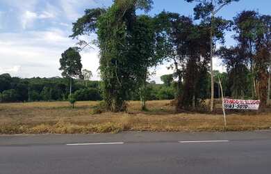 Imagem 9: Rodovia Am 070 - Manoel Urbano