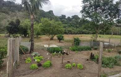 Imagem 12: Chácara em Ouro Fino - MG