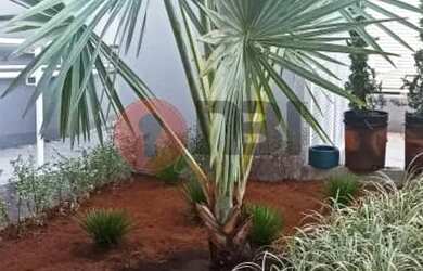 Imagem 16: SAO JOSE DO RIO PRETO - Residential / Apartment - BOA VISTA