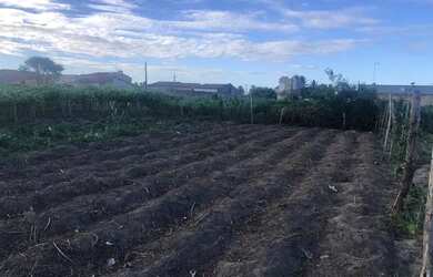 Imagem: O terreno possui 147m² de Área e está localizado em Lagarto