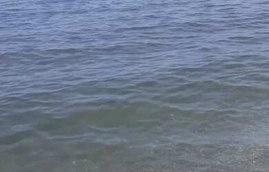 Imagem 2: Vendo ou troco 16.900. 225m² de Área