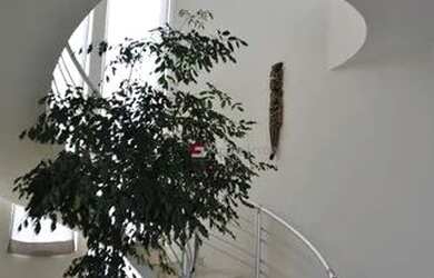 Imagem 8: Casa com 6 dormitórios, 750 m² - venda por R$ 8.000.000,00 ou aluguel...