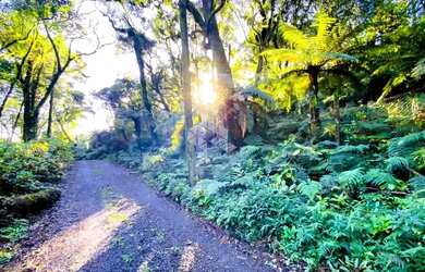 Imagem 13: A venda terreno de 7.620m², localizado em Canela