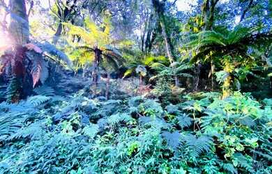 Imagem 4: A venda terreno de 7.620m², localizado em Canela