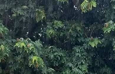 Imagem: O terreno possui 144m² de Área e está localizado em Plano