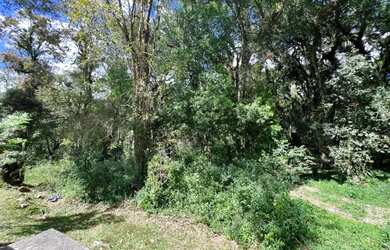 Imagem 2: Terreno em Condomínio - Bairro Pinheiro Grosso