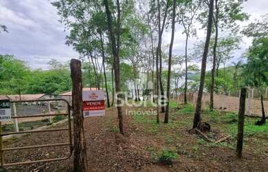 Imagem: A fazenda possui 3000m² de Área e está localizado em Custódio